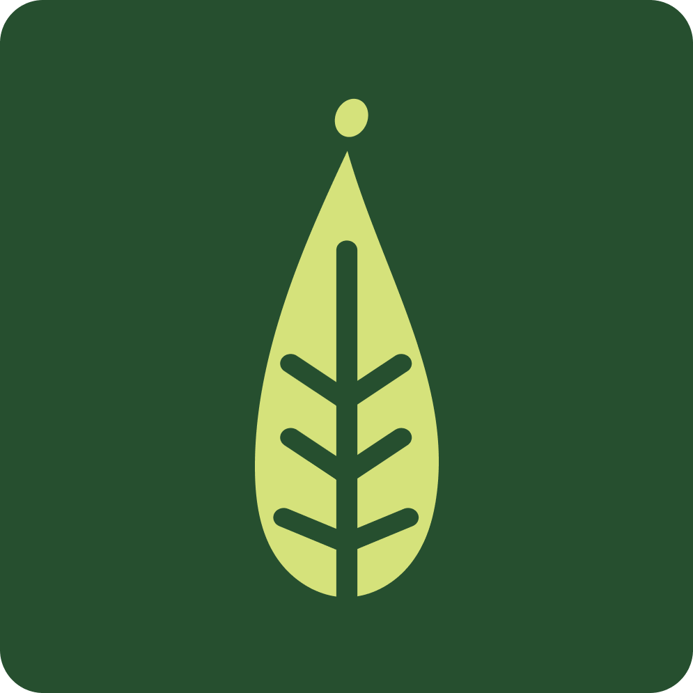 Willow Health logo